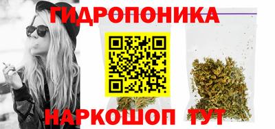 спиды Брянск