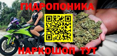 ALPHA PVP Братск