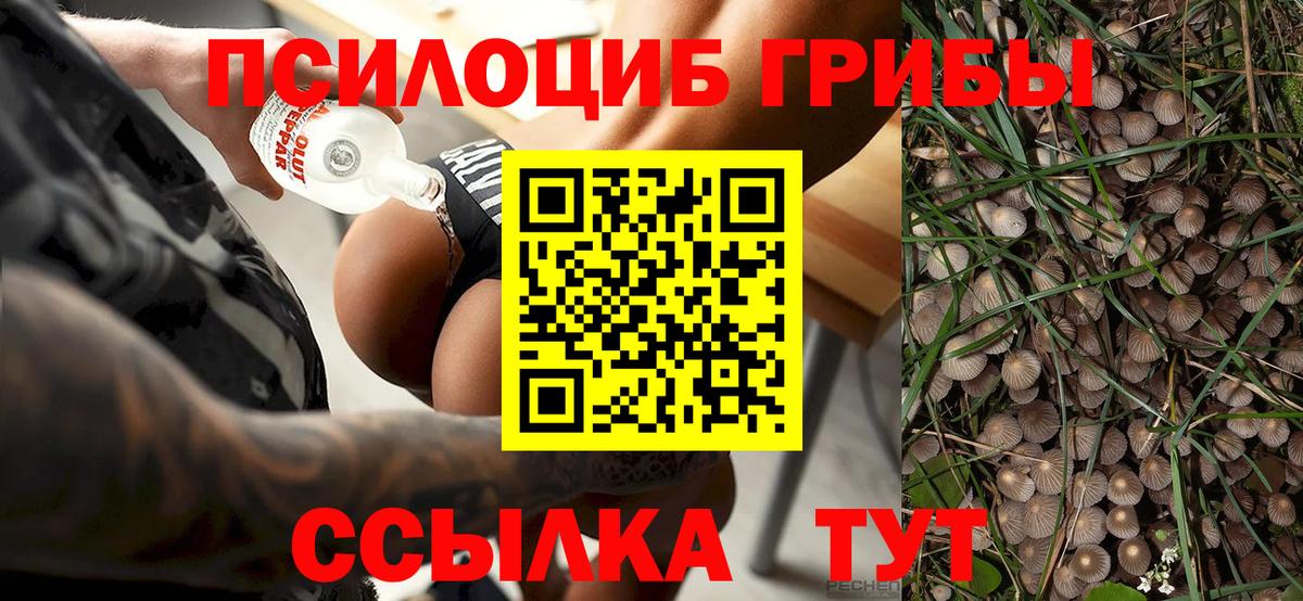 Галлюциногенные грибы ЛСД  Вход с VPN  Кропоткин 